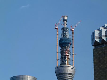 タワークレーン　高層建築 タワークレーン,高層建築,スカイツリーの写真素材