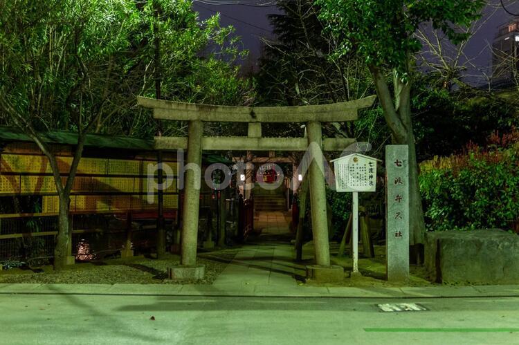 富岡八幡宮　夜景 富岡八幡宮,門前仲町,夜の写真素材