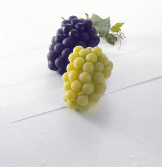 マスカットとピオーネ マスカット,ピオーネ,ぶどうの写真素材