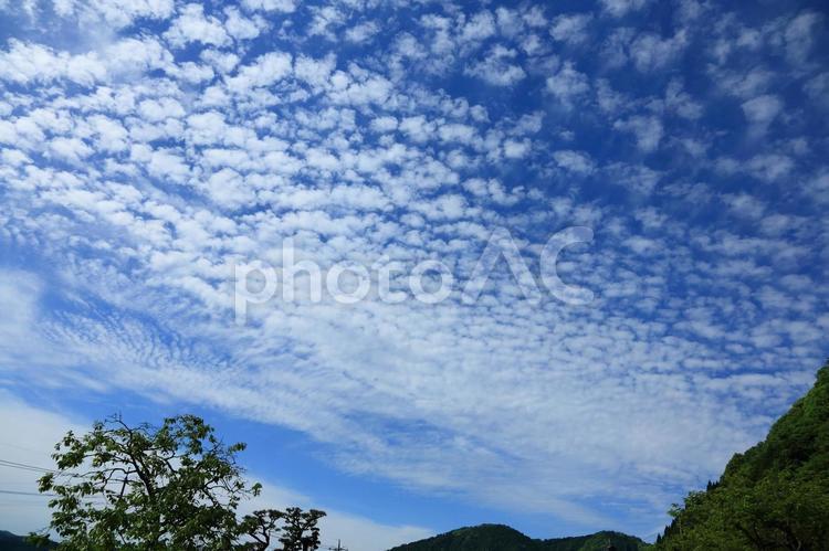 空模様 空模様,青空,雲の写真素材