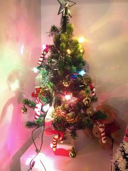 小さなクリスマスツリー 小さなクリスマスツリー クリスマスツリー,クリスマス,飾りの写真素材