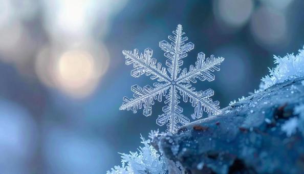 雪の結晶 マクロ クローズアップ 雪の結晶 マクロ クローズアップの写真