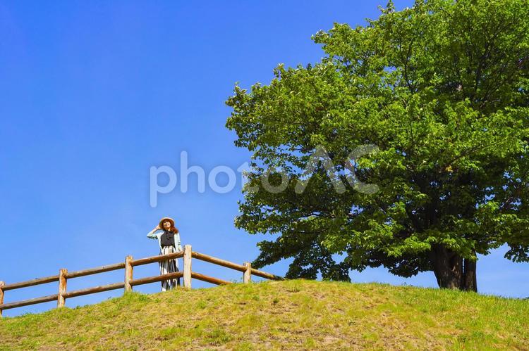 青空と木と女性 人物,女性,ポートレートの写真素材