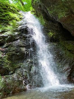 岩壁を流れ落ちる迫力ある滝の流れ 滝,水流,岩壁の写真素材