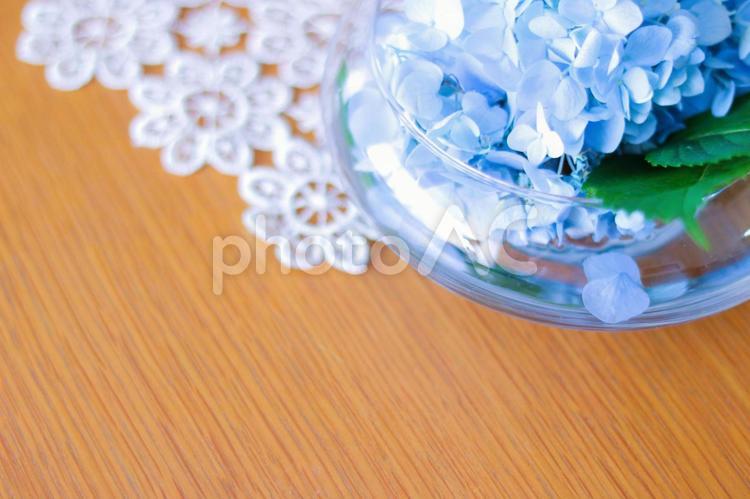 あじさいとレース 紫陽花,あじさい,6月の写真素材