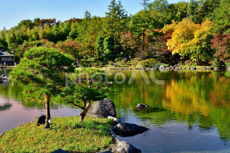 風景　日本庭園 風景,日本庭園,池の写真素材