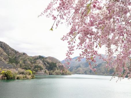 自然の中でひと休み 自然の中でひと休みの写真