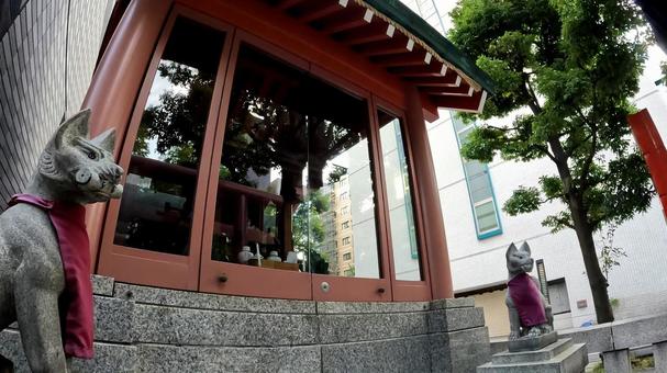 明治座の鎮守 笠間稲荷 明治座の鎮守 笠間稲荷 笠間稲荷神社,明治座,東京の写真素材