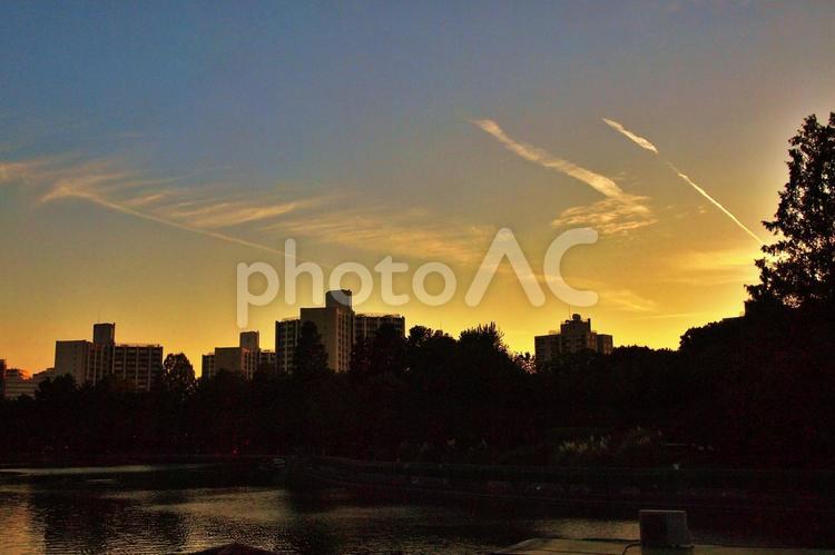 秋のたそがれの公園風景 公園,森,林の写真素材