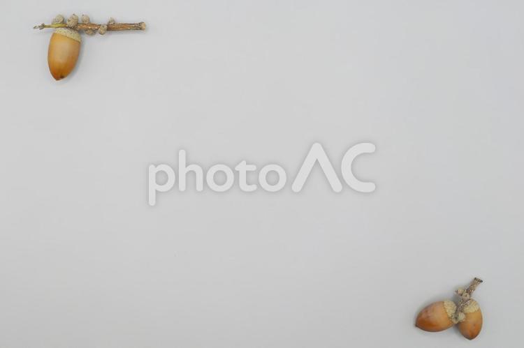 どんぐり（背景用）③ どんぐり,ドングリ,種子の写真素材