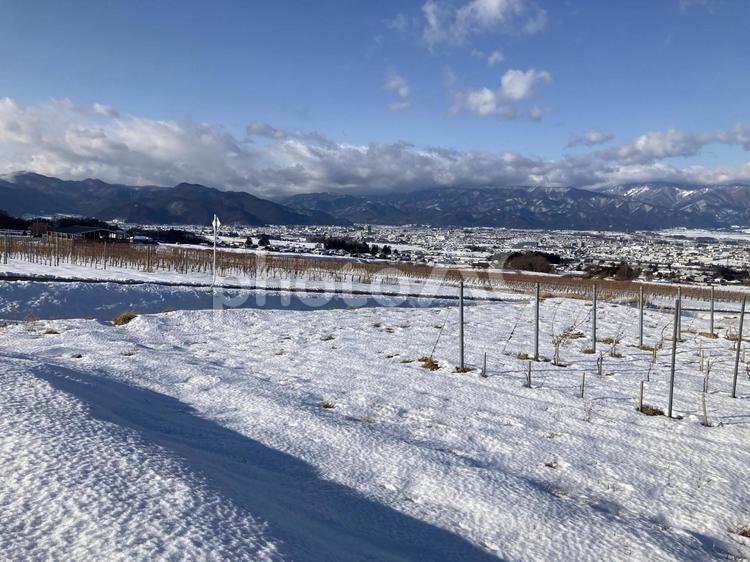 信州の冬景色 雪,雪景色,冬の写真素材