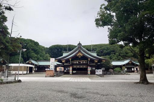 愛知県-真清田神社-拝殿 愛知県-真清田神社-拝殿 真清田神社,神社,尾張国の写真素材
