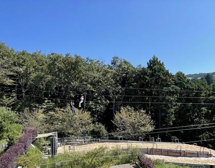 三島で自然とロングジップスライドを楽しむ 三島スカイウォーク,ジップスライド,アクティビティの写真素材