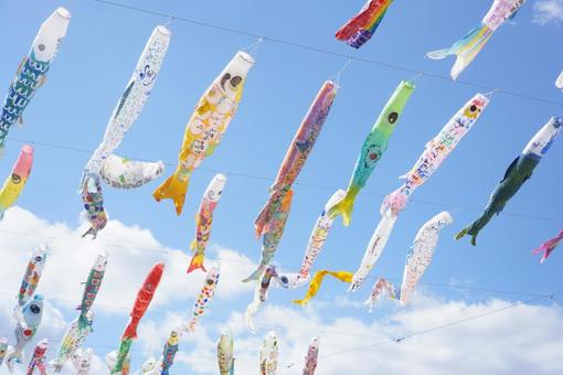 Photo, children's day, carp streamer, blue sky, 