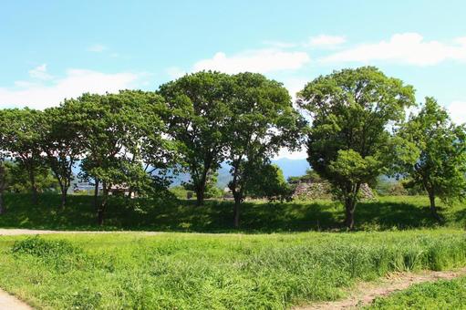 松代 松代城北側 松代 松代城北側 長野市,長野県,長野の写真素材