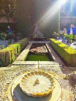Photo, alhambra palace, imperial palace, generalife, 