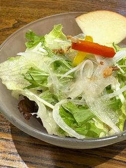 サラダの写真