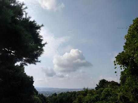 京都の町並み 京都の町並みの写真