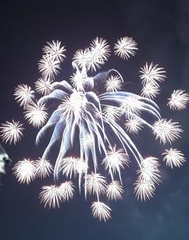 花火 花火の写真