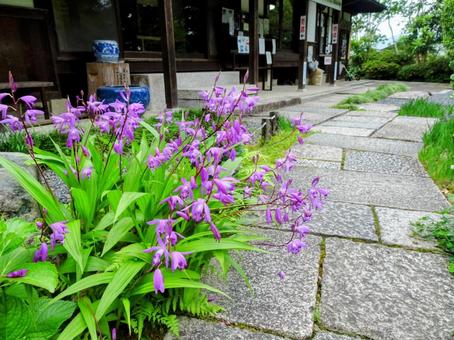 丹州観音寺 丹州観音寺の写真