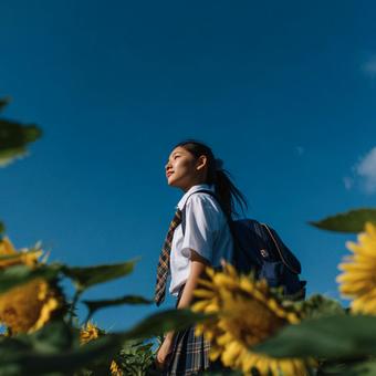 夏のひまわり畑に立つ制服姿の女子学生 夏のひまわり畑に立つ制服姿の女子学生の写真