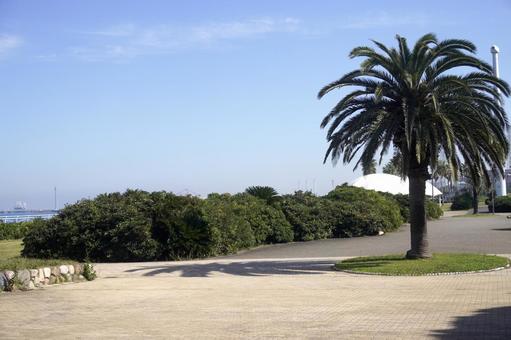 海辺の公園 海辺の公園の写真