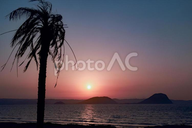 夕暮れヤシの木 サンセット,sunset,サンセットビーチの写真素材