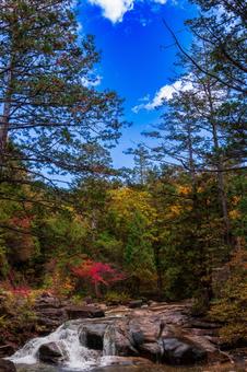 青空と秋の写真
