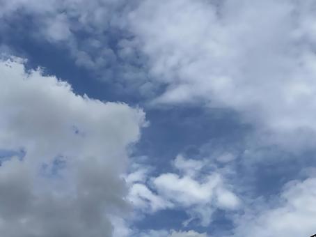 神田川9月:夏の終わりの曇り空 2025 神田川9月:夏の終わりの曇り空 2025 曇り,晴れ,空の写真素材