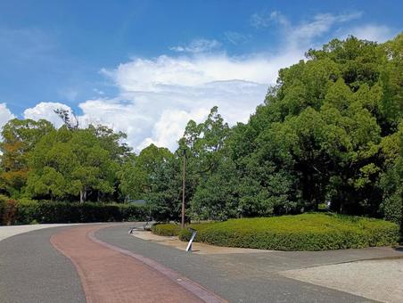 夏空の入道雲と森林 夏空の入道雲と森林の写真