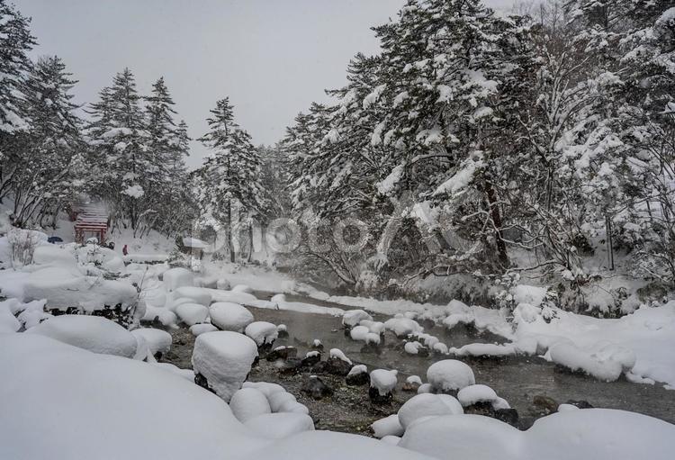大雪に見舞われた草津 西の河原公園,雪,積雪の写真素材