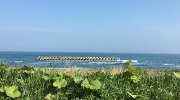 海 海の写真