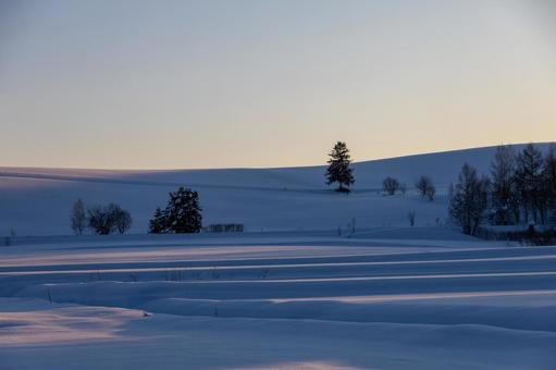 夕暮れの丘に佇む木が描く静かな冬景色 丘,冬景色,孤独な木の写真素材