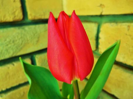 春間近かの写真