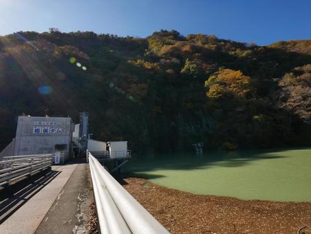 赤谷湖の紅葉 赤谷湖,ダム湖,湖の写真素材