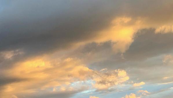 夏 雲 夏 雲の写真