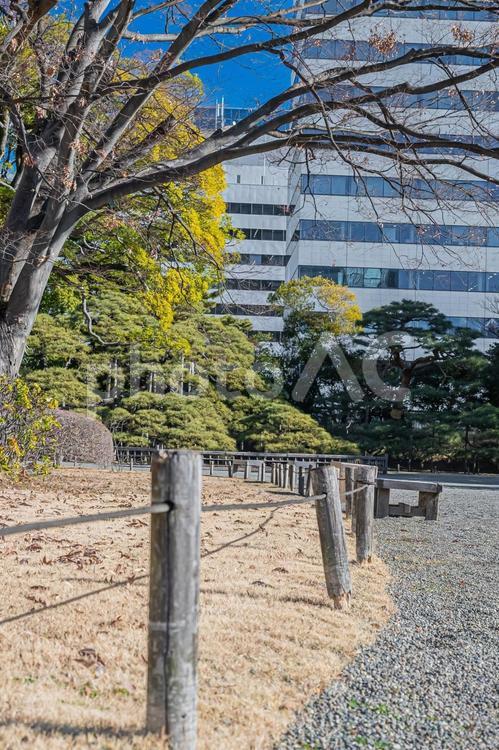 東京　浜離宮恩賜庭園の風景 東京,東京都,浜離宮恩賜庭園の写真素材