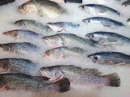 フィッシュマーケット 魚,食べ物,漁場の写真素材