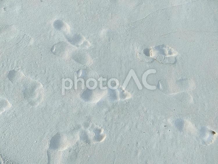 砂浜のあしあと 足跡,裸足,砂浜の写真素材