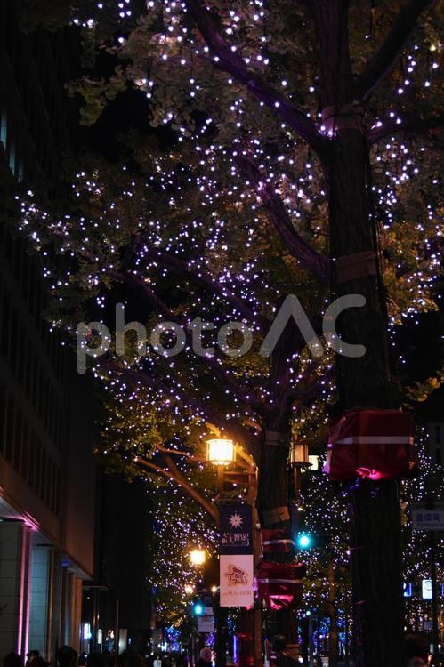 2022御堂筋イルミネーション 御堂筋,イルミネーション,夜景の写真素材