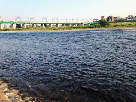 二子玉川 多摩川河川敷 二子玉川 多摩川河川敷 二子玉川,多摩川,河川敷の写真素材