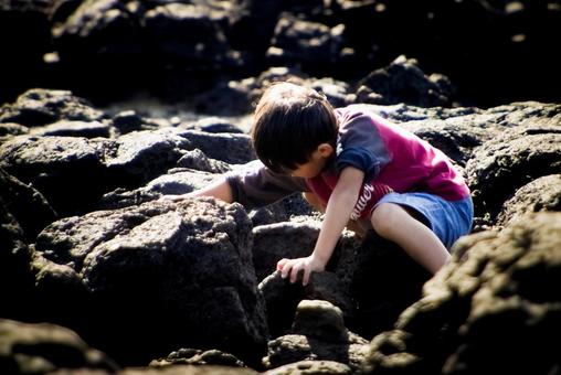 ＜素材＞磯でガサガサ（小魚捕獲）する子供 子供,磯遊び,海の写真素材