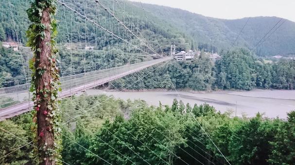 ダイナミックな吊り橋 ダイナミックな吊り橋の写真