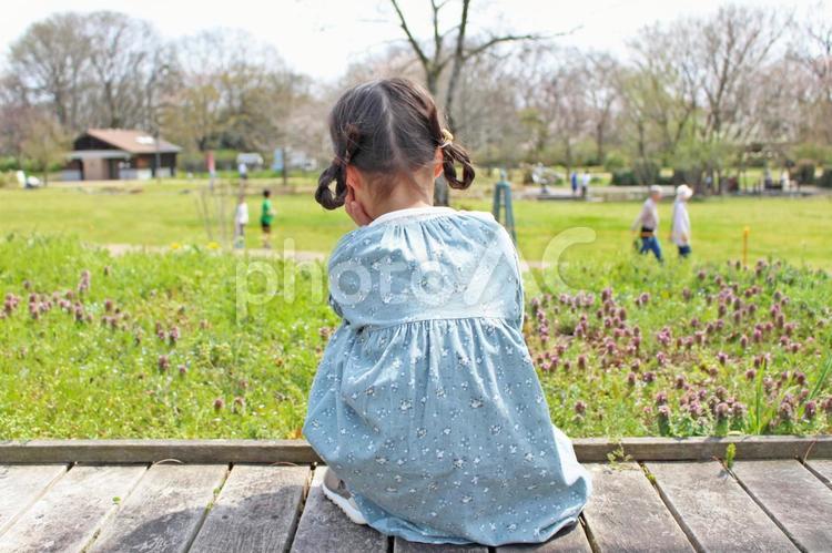 春の公園でお花を観察する女の子 春,公園,子どもの写真素材
