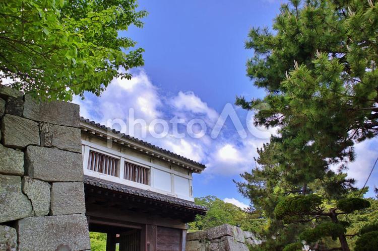 青空に映える和歌山城岡口門 和歌山城,岡口門,門の写真素材