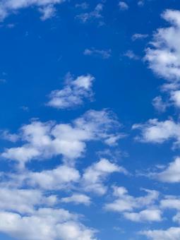 雲のある秋空 空,天気,晴れの写真素材