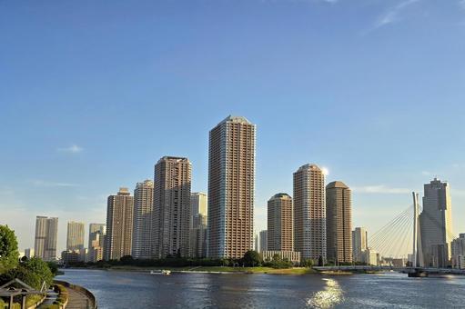 タワマンと空 タワマンと空 タワーマンション,空,晴れの写真素材