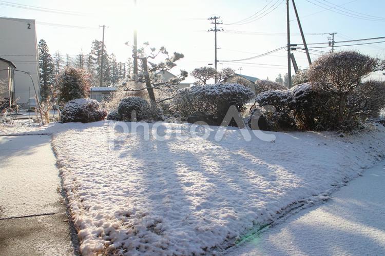 薄雪を見て豪雪地のことを憂う　２ 冬,積雪,薄っすらの写真素材