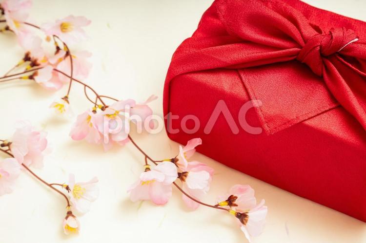 枝垂れ桜と赤色の風呂敷包み 桜,風呂敷包み,お歳暮の写真素材