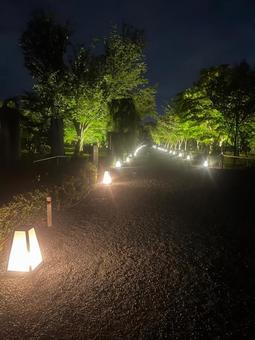 夜景 風景 夜景 風景の写真